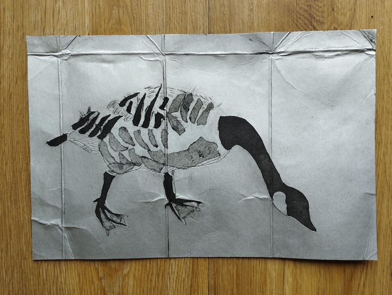 Puede incluir: Un dibujo en tinta negra y blanca sobre un papel arrugado que representa un ganso con una caja tor&aacute;cica visible. El ganso se muestra de perfil, mirando hacia abajo, con el cuello y la cabeza negros y una estructura esquel&eacute;tica detallada.