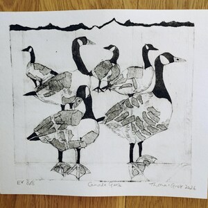 Pode incluir: Uma impress&atilde;o a preto e branco em papel com cinco gansos-do-canad&aacute; com padr&otilde;es de penas texturizados. O canto inferior esquerdo diz EV 8/8, o centro diz Canada Geese e o canto inferior direito diz Thoma Grot 2026 &agrave; m&atilde;o.