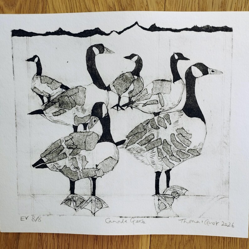 Pode incluir: Uma impress&atilde;o a preto e branco em papel com cinco gansos-do-canad&aacute; com padr&otilde;es de penas texturizados. O canto inferior esquerdo diz EV 8/8, o centro diz Canada Geese e o canto inferior direito diz Thoma Grot 2026 &agrave; m&atilde;o.