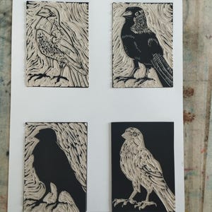 K&ouml;nnte beinhalten: Ein wei&szlig;es Blatt Papier mit vier rechteckigen Linoldrucken von V&ouml;geln. Jeder Druck zeigt einen anderen Vogel in einem kontrastreichen Schwarz-Wei&szlig;-Stil und verwendet geschnitzte Texturen, um das Gefieder und die Hintergrundmuster zu definieren.