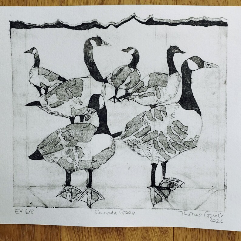 Pode incluir: Uma impress&atilde;o a preto e branco em papel com cinco gansos-do-canad&aacute; com detalhes de penas texturizados. A obra inclui o texto manuscrito "EV 6/8", "Canada Geese" e "Thomas Gwelt 2026" na margem inferior da ilustra&ccedil;&atilde;o.