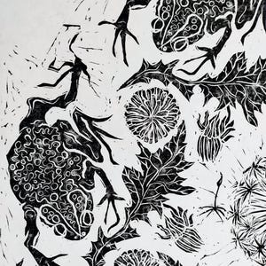 Pu&ograve; includere: Una stampa linoleografica in bianco e nero raffigurante due rane con pelle testurizzata e a motivi, posizionate tra fiori di tarassaco e foglie frastagliate. L'opera ad alto contrasto mostra linee intricate e forme organiche.
