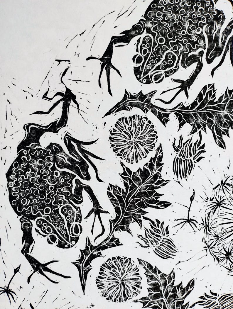 Pu&ograve; includere: Una stampa linoleografica in bianco e nero raffigurante due rane con pelle testurizzata e a motivi, posizionate tra fiori di tarassaco e foglie frastagliate. L'opera ad alto contrasto mostra linee intricate e forme organiche.