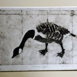 Puede incluir: Un grabado en blanco y negro de un ganso canadiense sobre papel texturizado. El ganso se representa con cuello y cabeza oscuros, y una estructura alar similar a un esqueleto. La impresi&oacute;n incluye el texto Canada Goose, 1/6 y una firma abajo.