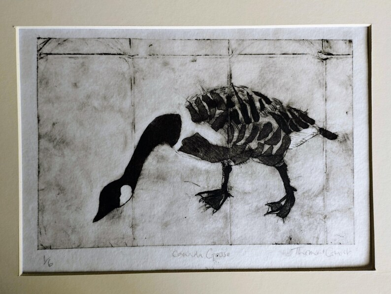 Puede incluir: Un grabado en blanco y negro de un ganso canadiense sobre papel texturizado. El ganso se representa con cuello y cabeza oscuros, y una estructura alar similar a un esqueleto. La impresi&oacute;n incluye el texto Canada Goose, 1/6 y una firma abajo.