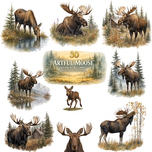 May include: A collection of watercolour illustrations featuring moose in various natural settings, including forests, lakes, and near log cabins. The central text reads 30 ARTFUL MOOSE WATERCOLOR CLIPART. The images depict moose standing, grazing, and resting.