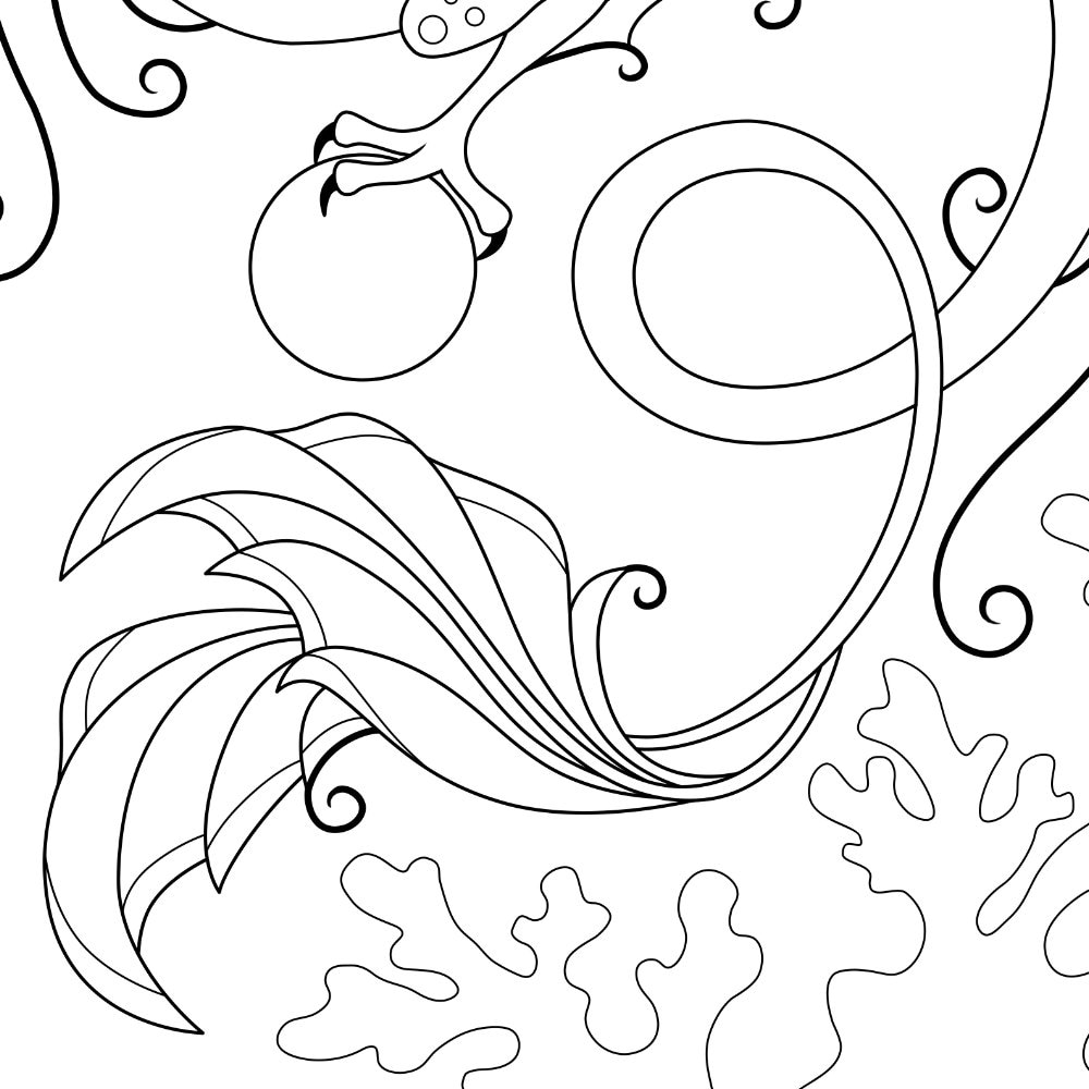 Sea Dragon Coloring Page | Etsy