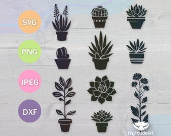 10 Succulent Bundle Cut File, Cactus & Plant Cut Files for DIY Home Decor Cricut and Silhouette svg png jpg dxf