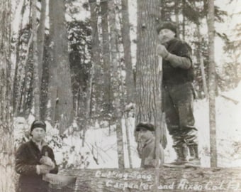 Può includere: Foto in bianco e nero di tre uomini in piedi in una foresta innevata. Gli uomini indossano abiti invernali e cappelli. Un cartello recita "Cutting 2009 Carpenter and Nixon Co. Camp 15 Blind River Ont."
