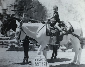 Little Boy on Pack Burro Famous Seven Falls Colorado Springs Vintage Photo