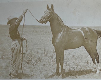 Stillwater OK Cowboy with Beautiful HorseRPPC Real Photo Postcard Craton Nelson