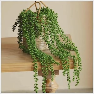 1-4PCS Artificial Succulent Vine 70cm Faux Hanging Plants Lifelike Greenery Home Wedding Room Office Wall Decor