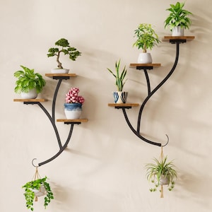May include: Two wall-mounted plant shelves featuring black metal frames shaped like tree branches with multiple wooden platforms. Each shelf holds various potted plants, including a bonsai, succulents, and hanging greenery in ceramic pots.