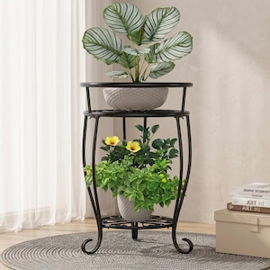 May include: A two-tier black metal plant stand with curved legs and circular shelves. The top shelf holds a potted plant with large, striped green leaves, while the bottom shelf holds a potted plant with green foliage and yellow flowers.