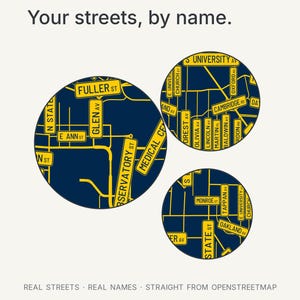 Ann Arbor map wall art — Listing image 03 — findstreet