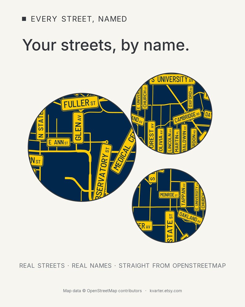 Ann Arbor map wall art — Listing image 03 — findstreet