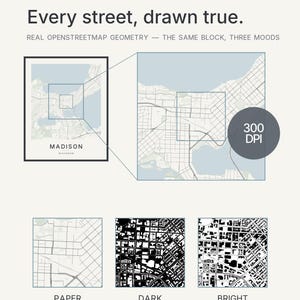 Madison map wall art — Listing image 05 — whatyouget