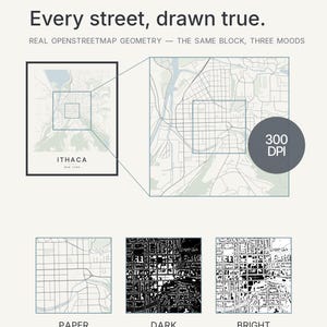 Ithaca map wall art — Listing image 04 — detail