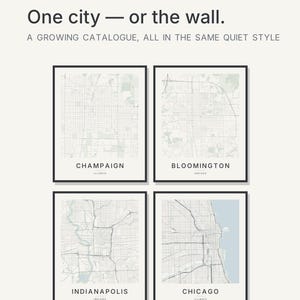 Champaign map wall art — Listing image 03 — flat