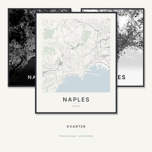 Naples Map Print, Naples Poster, Modern Wall Art, Minimalist City Map, Italy Printable, Digital Download, Housewarming Gift
