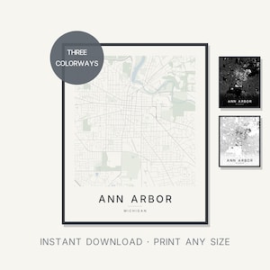 Ann Arbor map wall art — Listing image 01 — hero