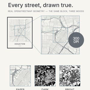 Houston map wall art — Listing image 04 — detail