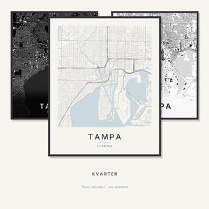 Tampa map wall art — Listing image 01 — hero
