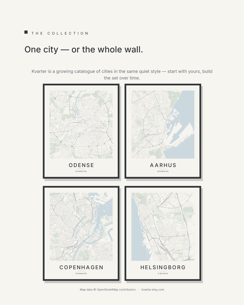Odense map wall art — Listing image 07 — gallerywall