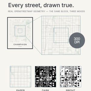 Champaign map wall art — Listing image 05 — whatyouget