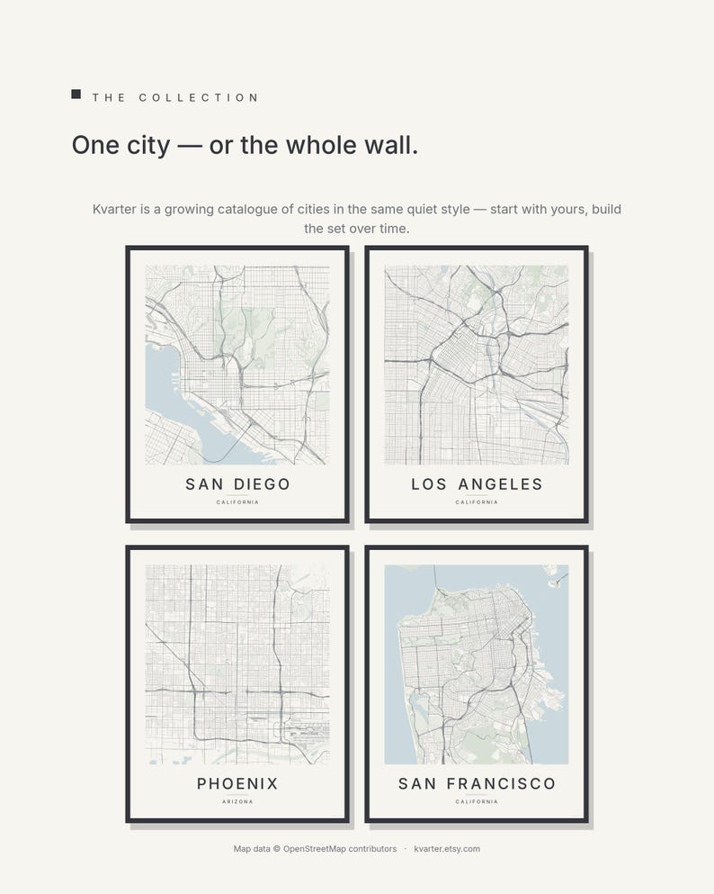 San Diego map wall art — Listing image 07 — gallerywall