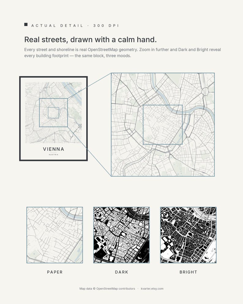Vienna map wall art — Listing image 03 — flat