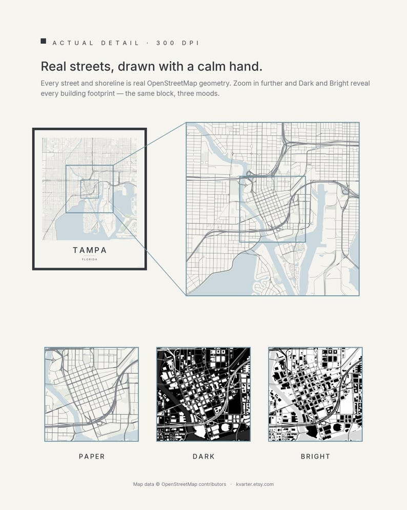 Tampa map wall art — Listing image 04 — detail