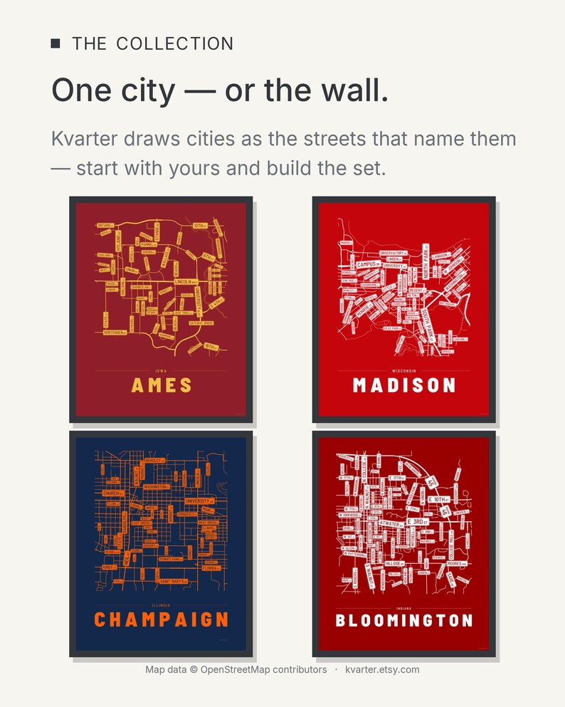 Ames map wall art — Listing image 09 — theline