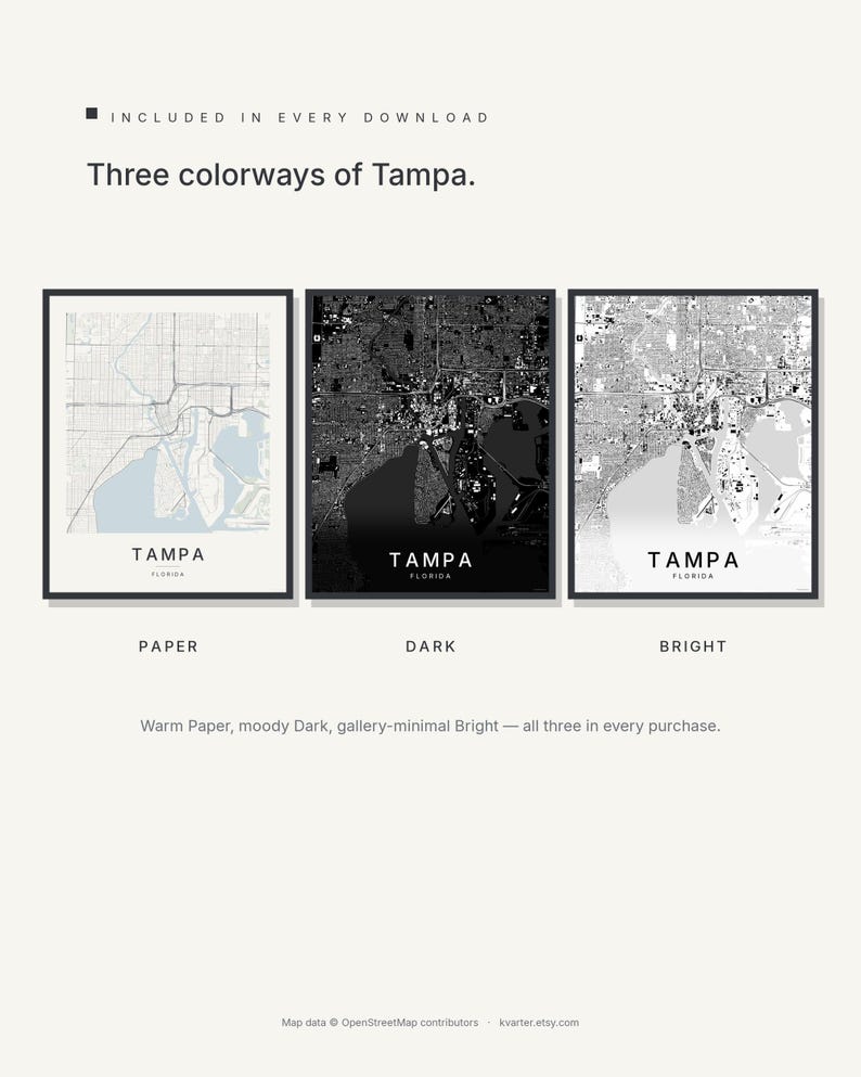 Tampa map wall art — Listing image 02 — colorways