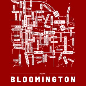 Bloomington map wall art — Listing image 04 — flat