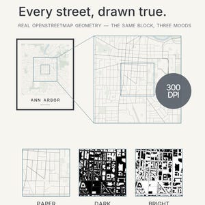 Ann Arbor map wall art — Listing image 07 — gallerywall