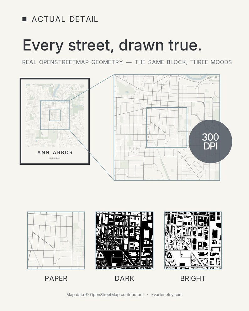 Ann Arbor map wall art — Listing image 07 — gallerywall