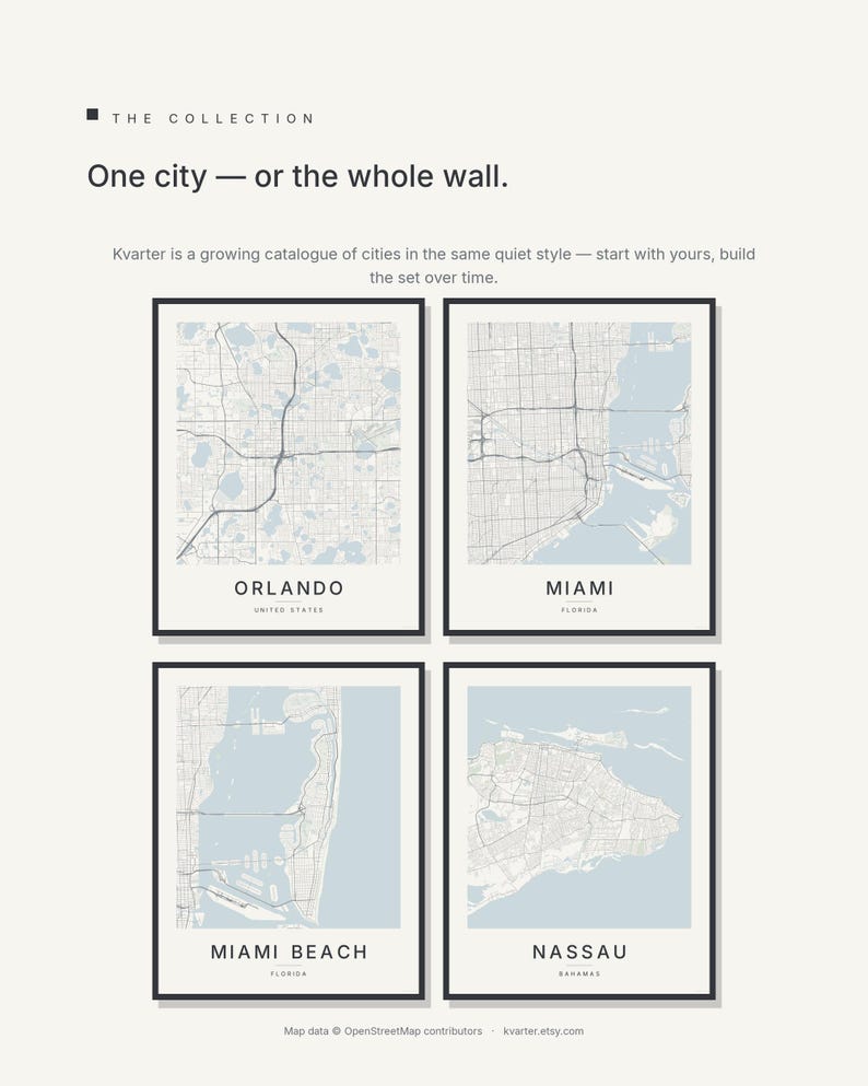 Orlando map wall art — Listing image 07 — gallerywall