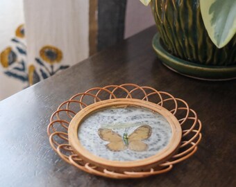 Vintage Butterfly Coaster