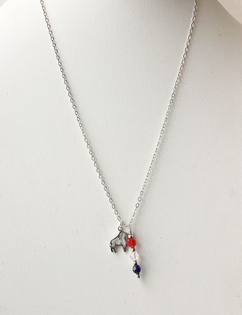 Charm Necklacebuffalo Bills Sterling Silver Charm Necklace Swarovski