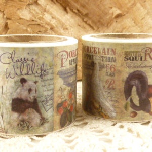 Washi Tape Cinta Washi de 30 mm de ancho, Panda, Cacatúa, Ardilla, Cinta Washi con estampado vintage - 2301