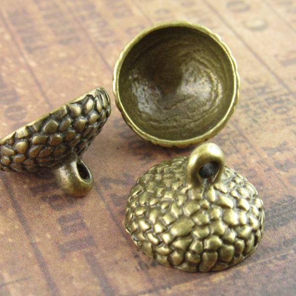 Large Acorn Bottom Shell End Cap, Large Bead Cap, Bronze Tone (4) - A36