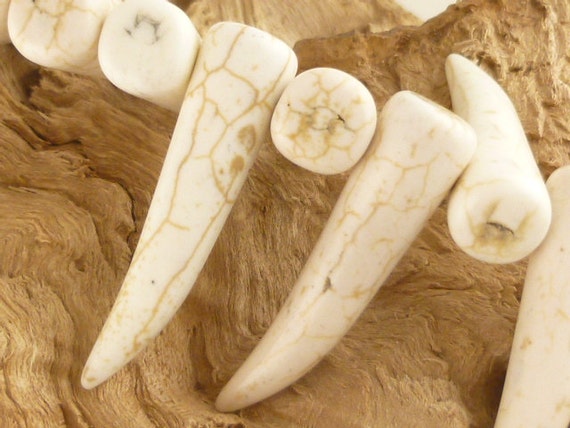 Large, Aged White Saber Canine Tooth Beads Pendants 4 