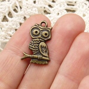 Owl Charms, Detailed Owl Charms, Antiqued Bronze Tone (6) - A63