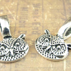 May include: Two silver owl charm pendants with a loop for attaching to a necklace or bracelet. The owls have detailed features and a textured surface.