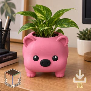 May include: A bright pink planter shaped like a pig with two small ears, two black circular eyes, and a black oval snout. The planter stands on four short legs and contains a green leafy plant with variegated yellow and green foliage.