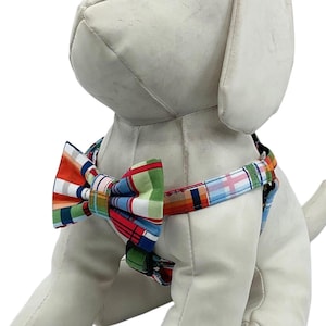 May include: A white dog wearing a colorful plaid harness and bow tie. The harness has a blue, red, green, and white plaid pattern. The bow tie is a similar plaid pattern with a red, orange, and green color scheme.