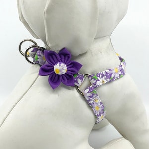 Step in Dog Harness With Optional Flower, Purple Daisy Adjustable Pet Harness Sizes XXS, XS, S, M