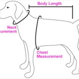 K&ouml;nnte beinhalten: Diagramm, das zeigt, wie man einen Hund f&uuml;r ein Kleidungsst&uuml;ck misst. Das Diagramm zeigt einen Hund mit Linien, die angeben, wo man Hals, Brust und K&ouml;rperl&auml;nge misst.