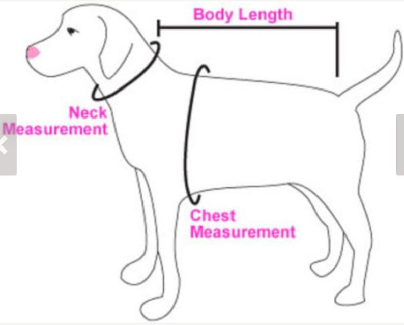 K&ouml;nnte beinhalten: Diagramm, das zeigt, wie man einen Hund f&uuml;r ein Kleidungsst&uuml;ck misst. Das Diagramm zeigt einen Hund mit Linien, die angeben, wo man Hals, Brust und K&ouml;rperl&auml;nge misst.